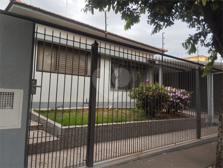 Foto REO1122676