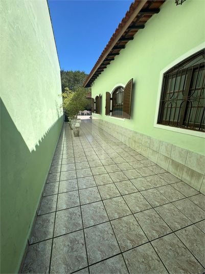 Foto REO1122678