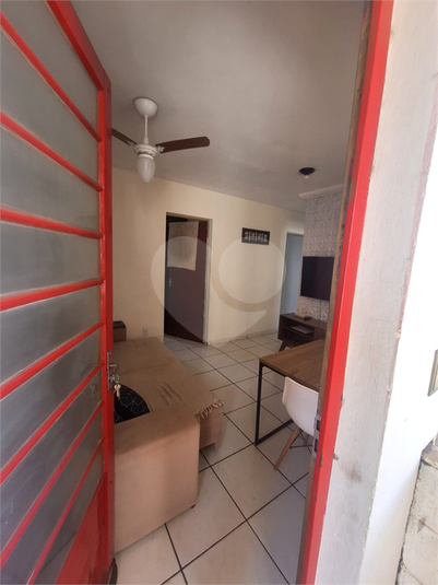 Foto REO1122683