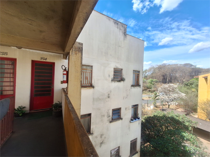 Foto REO1122683