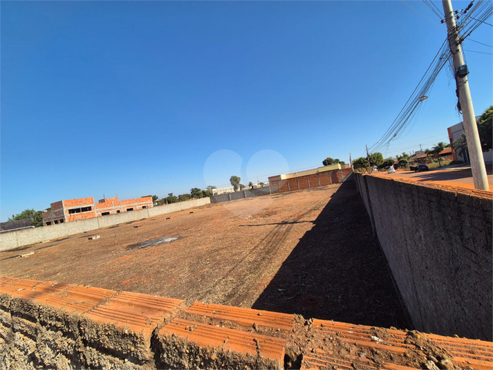 Foto REO1122692