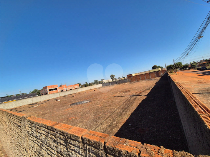 Foto REO1122692