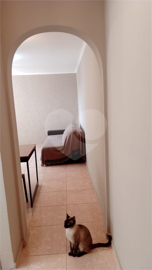 Foto REO1122696