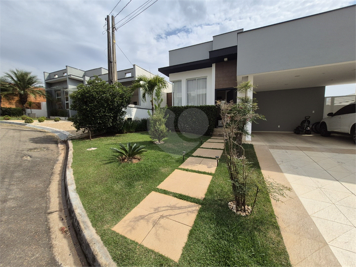 Foto REO1122705