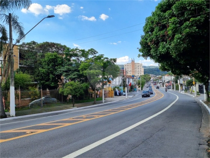 Foto REO1122710