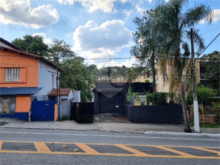 Foto REO1122710