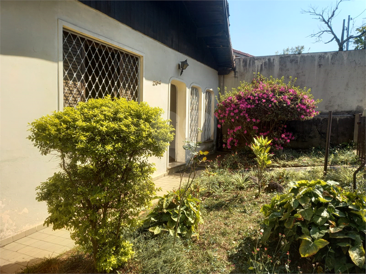 Foto REO1122724