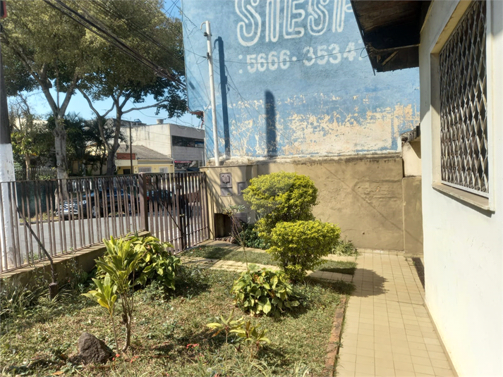 Foto REO1122724