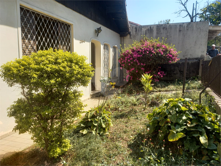 Foto REO1122724