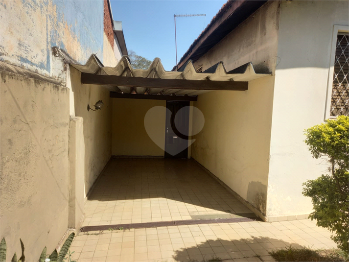 Foto REO1122724