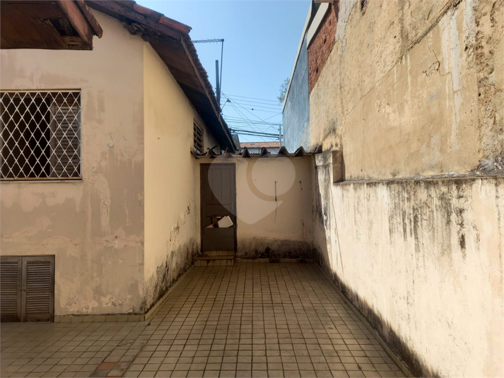 Foto REO1122724