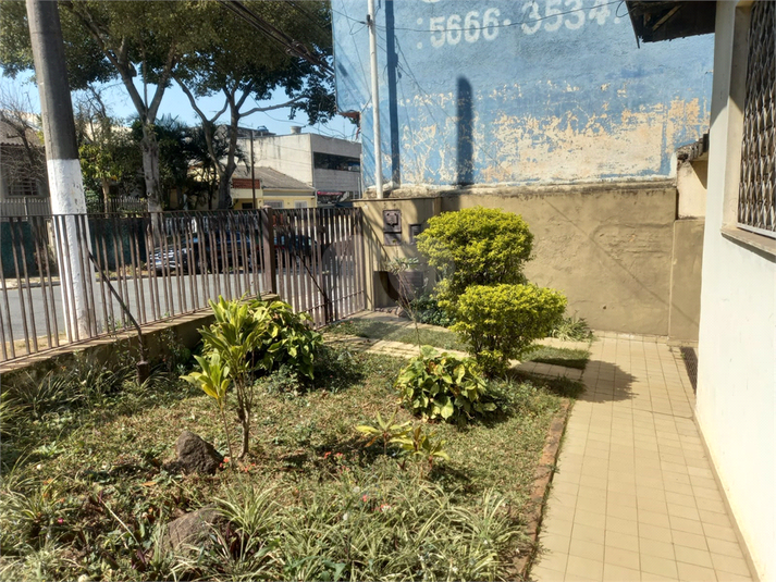 Foto REO1122724