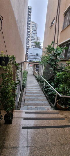 Foto REO1122736
