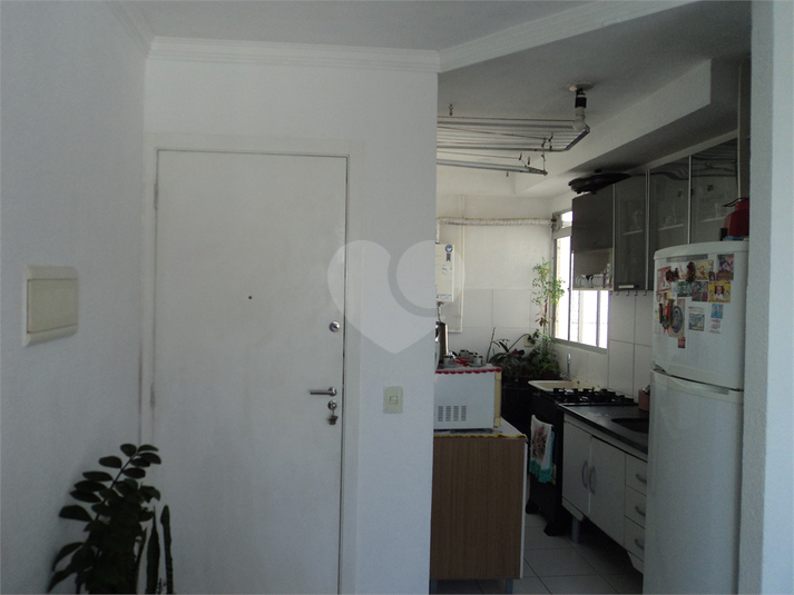 Foto REO1122738