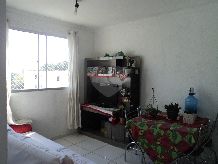 Foto REO1122738