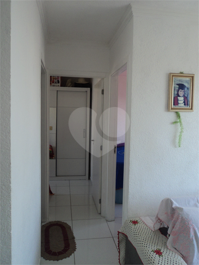 Foto REO1122738