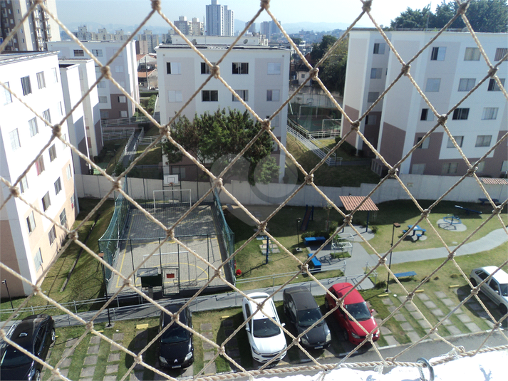 Foto REO1122738