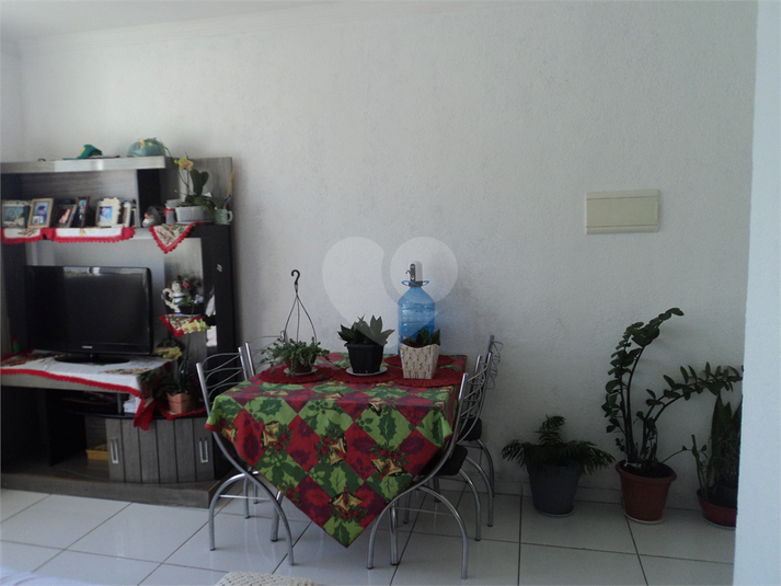 Foto REO1122738
