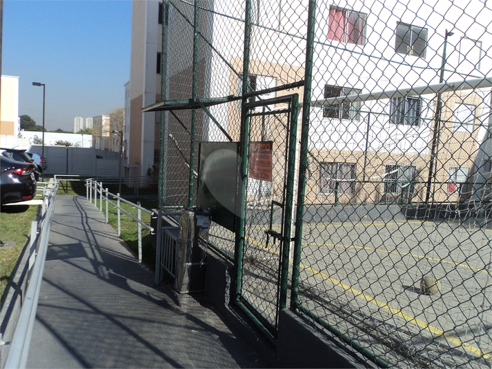 Foto REO1122738