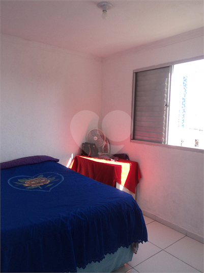 Foto REO1122738