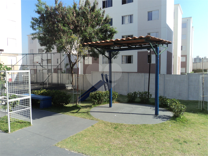 Foto REO1122738