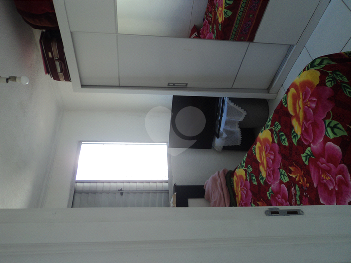 Foto REO1122738