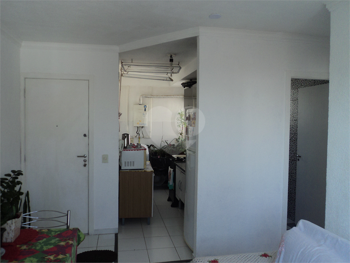 Foto REO1122738