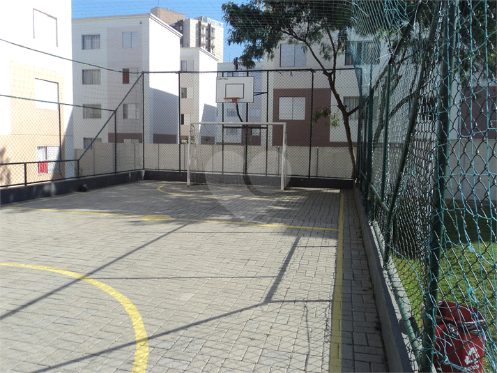 Foto REO1122738