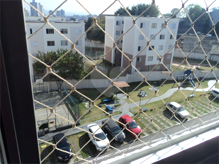 Foto REO1122738