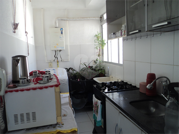 Foto REO1122738