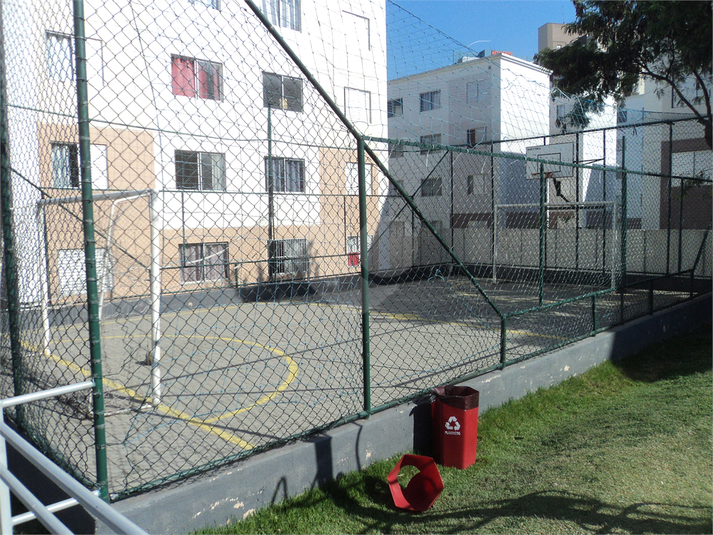 Foto REO1122738