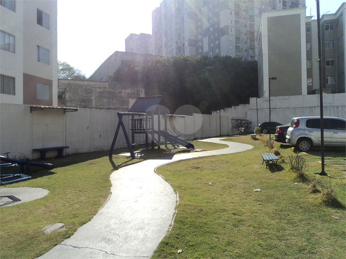 Foto REO1122738