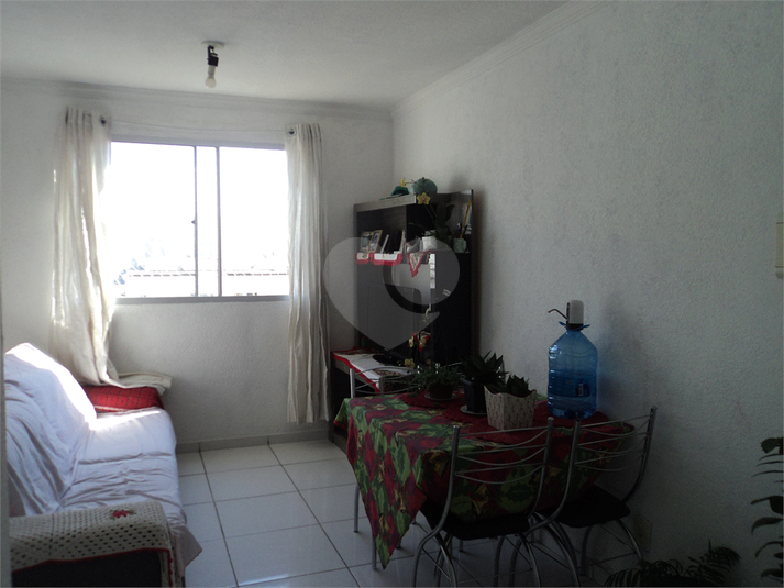 Foto REO1122738