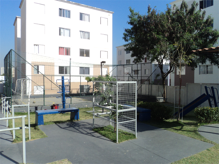 Foto REO1122738