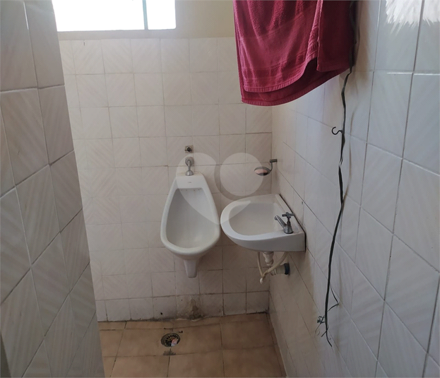 Foto REO1122740