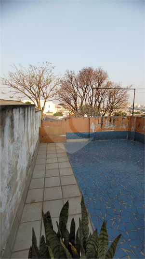 Foto REO1122744