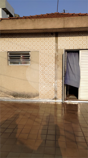 Foto REO1122744