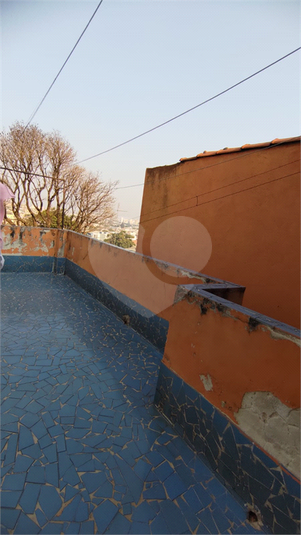 Foto REO1122744