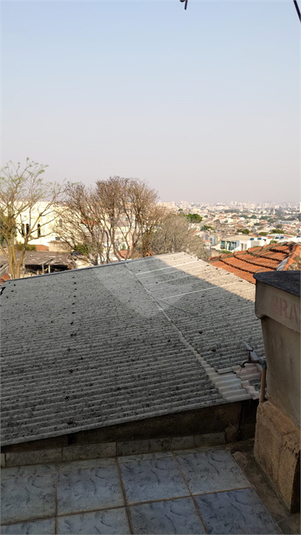 Foto REO1122744