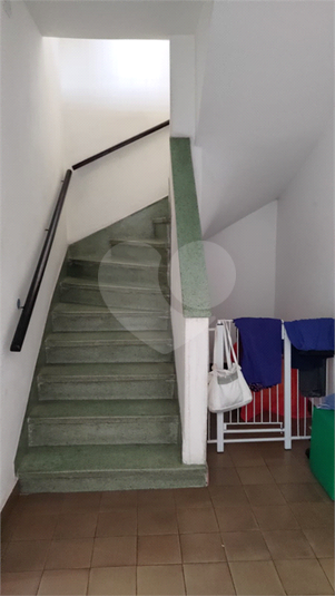 Foto REO1122744