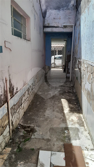 Foto REO1122752