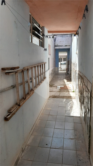 Foto REO1122752