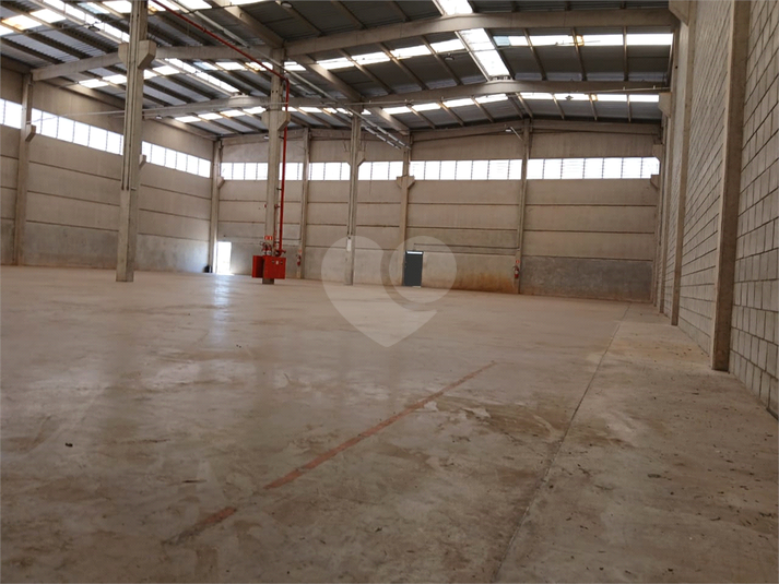 Foto REO1122753