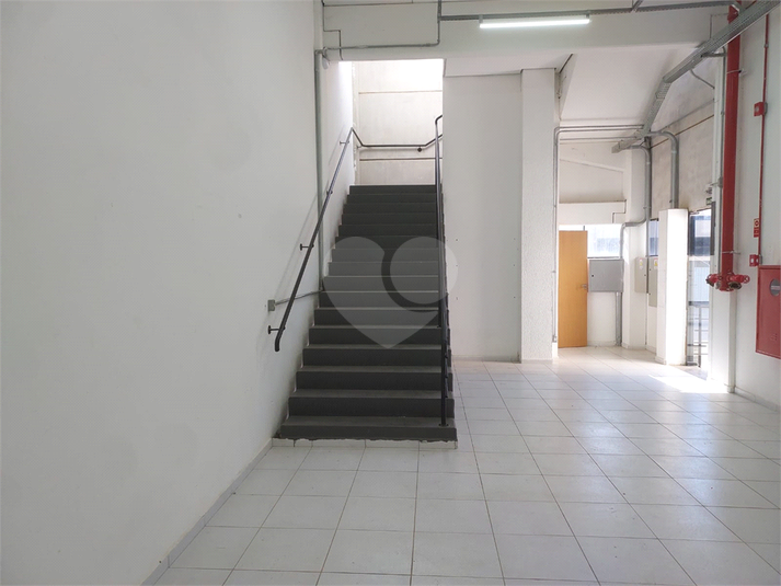 Foto REO1122753
