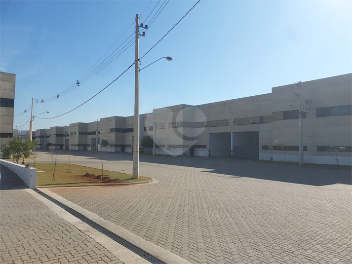 Foto REO1122753
