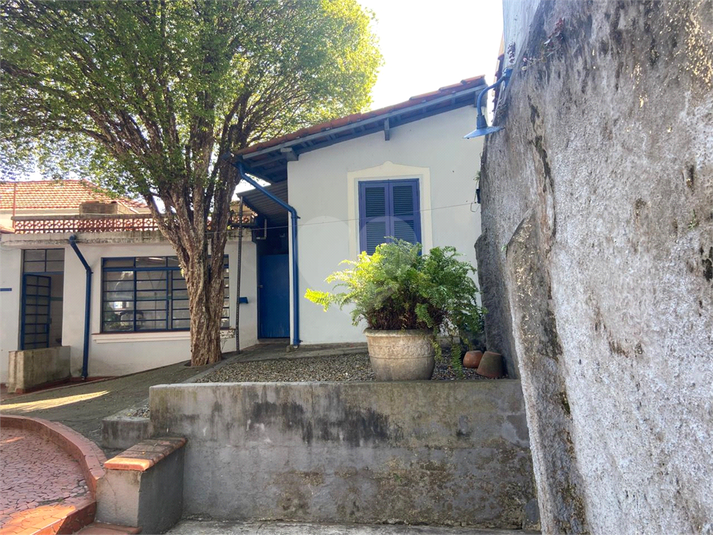 Foto REO1122769