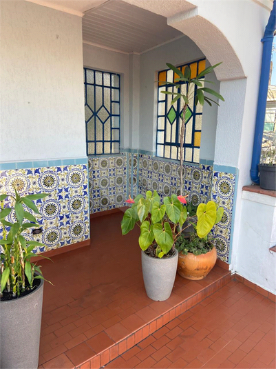 Foto REO1122769