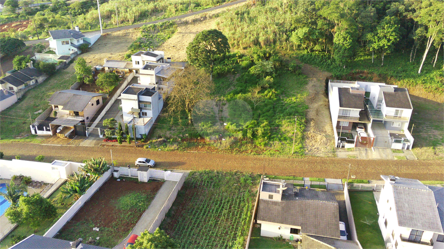 Foto REO1122774