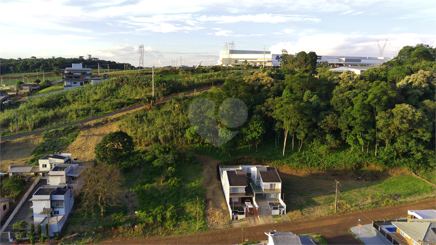 Foto REO1122774