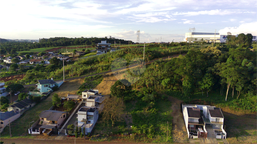 Foto REO1122774